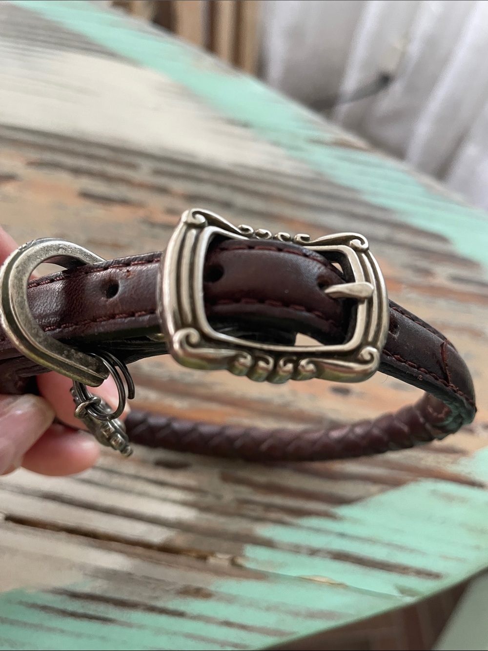 Brighton Dog Collar - Size Small - Picture 8 of 8